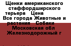 Щенки американского стаффордширского терьера › Цена ­ 20 000 - Все города Животные и растения » Собаки   . Московская обл.,Железнодорожный г.